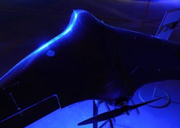 Antishahed drone