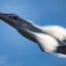 F-47 Fighter Jet