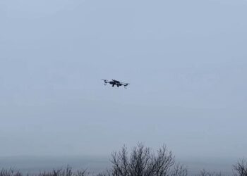 Dophin Spider drone