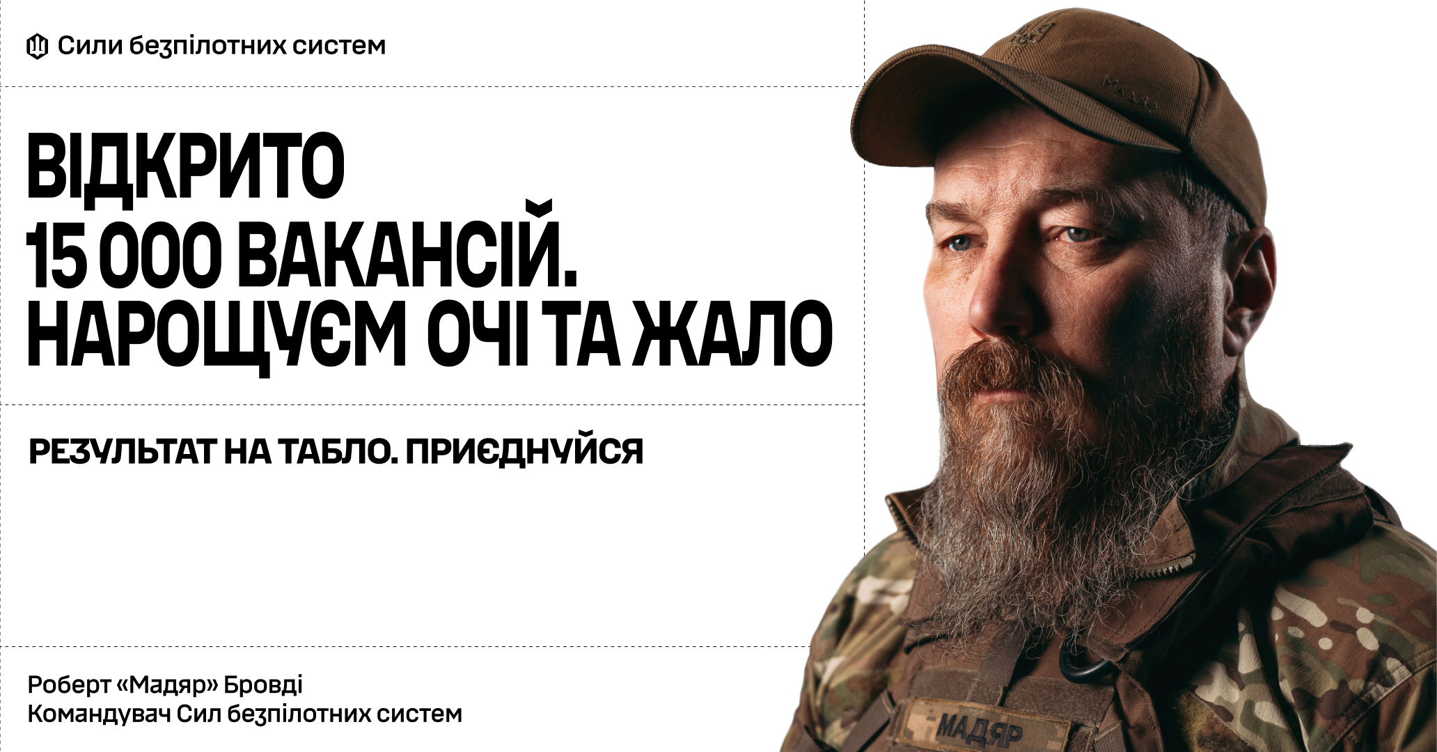Сили безпілотних систем Сили безпілотних систем