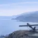 Terra Drone