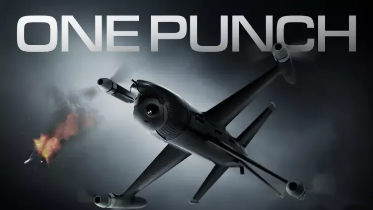 One Punch UKRSPECSYSTEMS