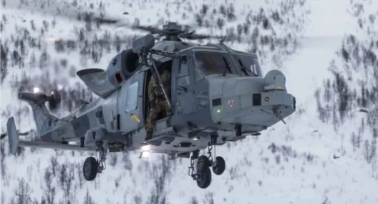 Wildcat AH.1