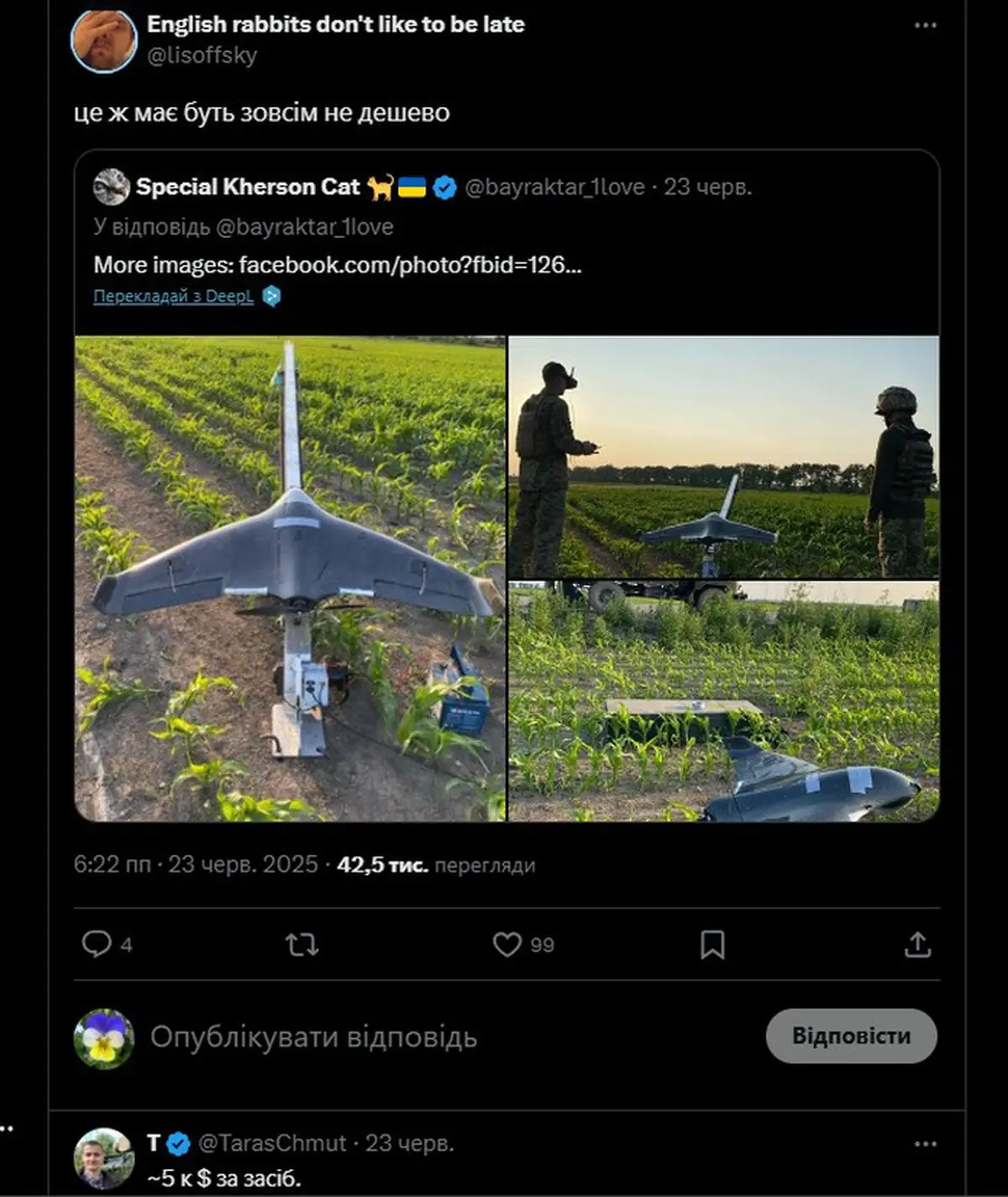 Ukrainian drone