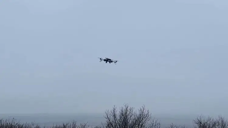 Dophin Spider drone